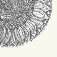 بوتشيلاتي وعاء على شكل زهرة دوار الشمس فضي بحجم متوسط