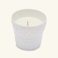 Angelic Almond Tumbler with Candle bernardaud angelic almond tumbler with candle