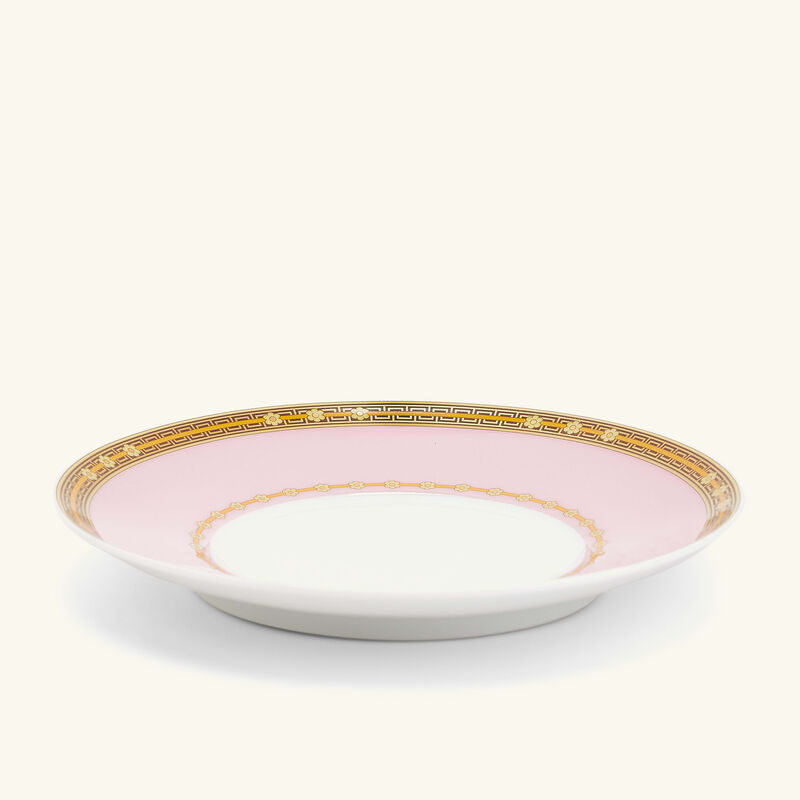 فنجان الشاي لو جاردان دو فيرساتشي مع صحنه فنجان الشاي لو جاردان دو فيرساتشي مع صحنه