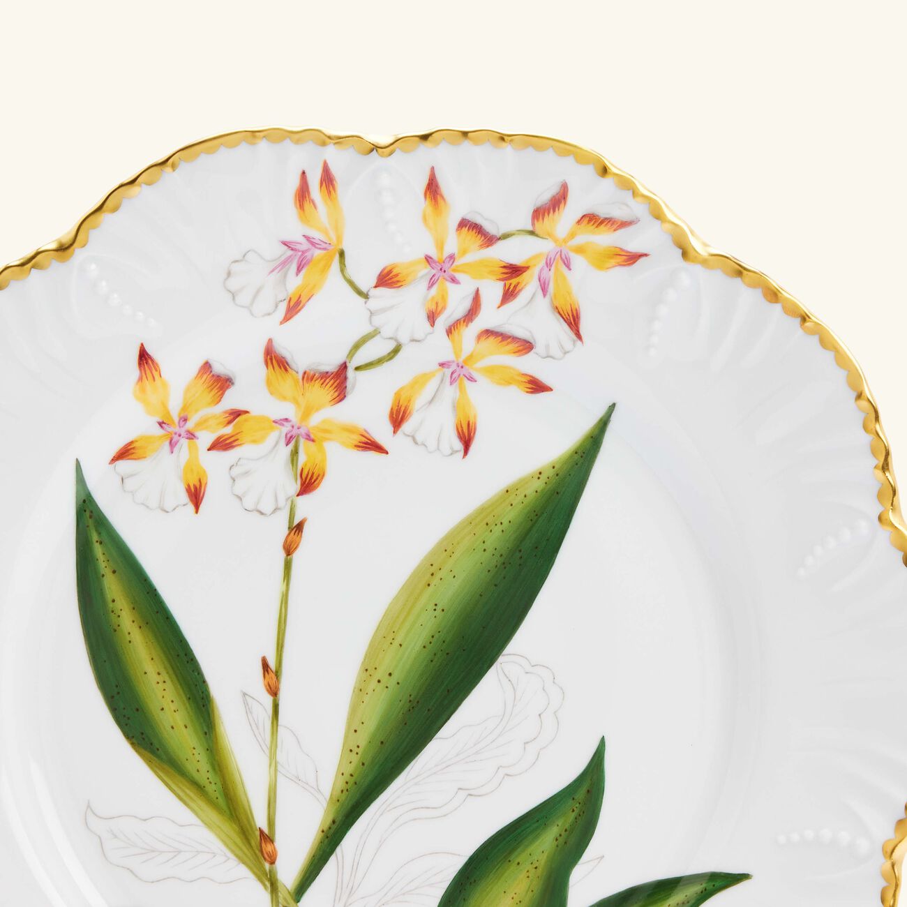 pinto paris histoires d orchidees dinner plate round green 26cm