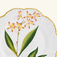 pinto paris histoires d orchidees dinner plate round green 26cm