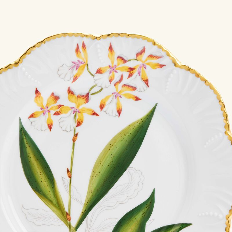pinto paris histoires d orchidees dinner plate round green 26cm