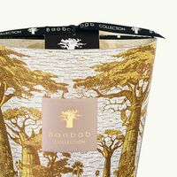Sacred Trees Boukani Candle Max 16 baobab collection sacred trees boukani candle max 16