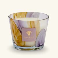 baobab collection riviera eilenroc candle max 10