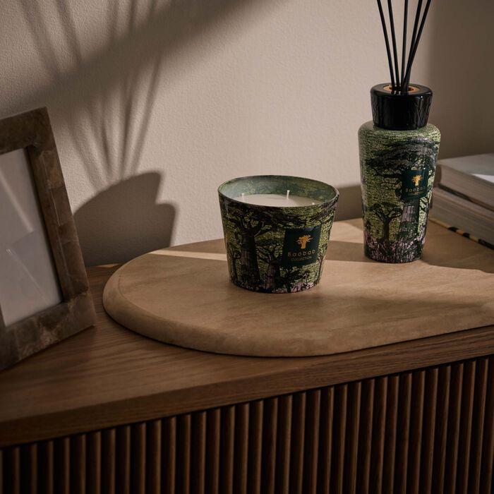baobab collection sacred trees touba candle max 10