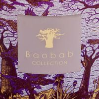 baobab collection sacred trees massasso candle max 10
