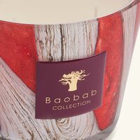 baobab collection woods risoud candle max 10