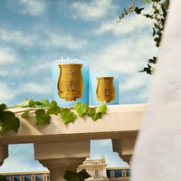 trudon versailles candle 270g