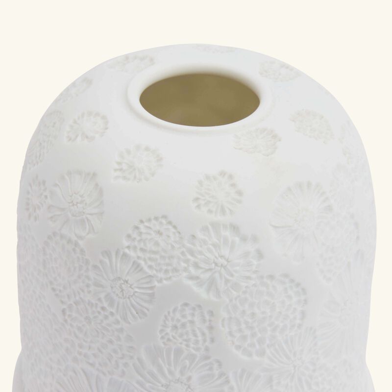 مصباح زينياس برناردو مصباح زينياس