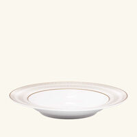 baccarat arcadia soup plate gold platinum 23cm set of 2