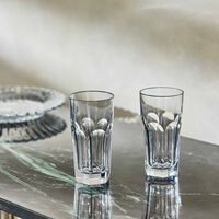 baccarat harcourt 1841 drinking glass clear set of 2