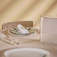 christofle concorde cutlery case silver