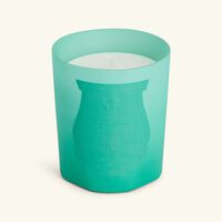 Under The Trees Candle 270g trudon under the trees candle 270g