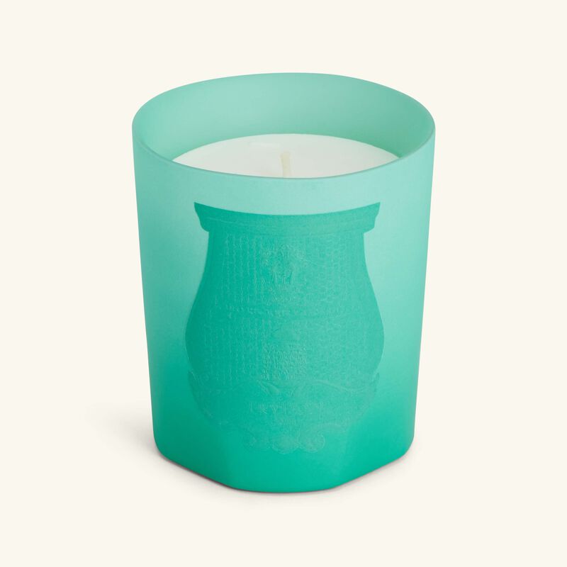 Under The Trees Candle 270g trudon under the trees candle 270g