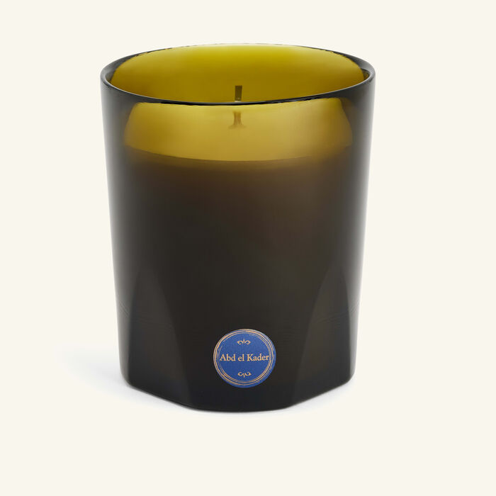 trudon abd el kader candle 270 g