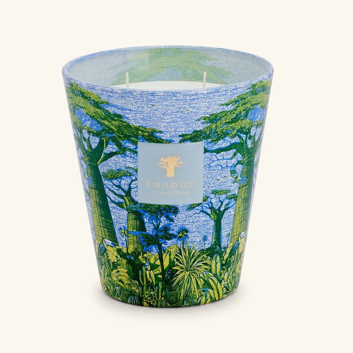 baobab collection sacred trees yarani candle max 16