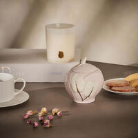 villari tulip sugar bowl pink