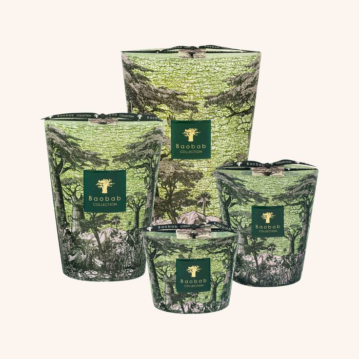 baobab collection sacred trees touba candle