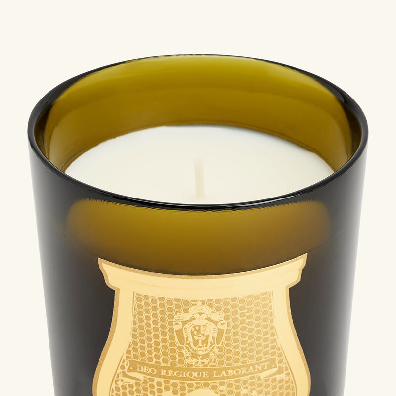 الشمعة المعطرة الكلاسيكية إرنستو 270 جرام ترودون الشمعة المعطرة الكلاسيكية إرنستو 270 جرام