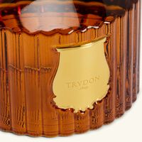 موزع العطر ألتير 350 مل ترودون موزع العطر ألتير 350 مل