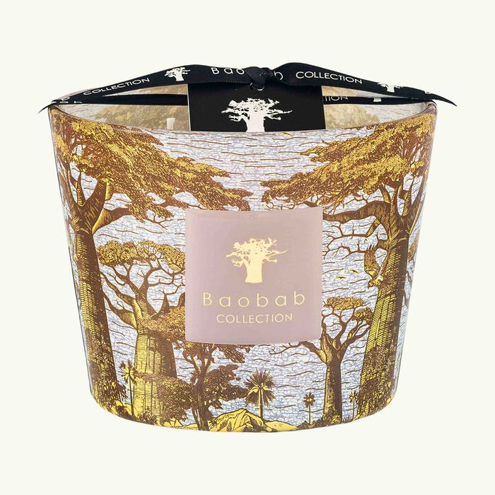 Sacred Trees Boukani Candle Max 10 baobab collection sacred trees boukani candle max 10