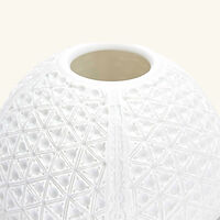 bernardaud lattice lithophanie