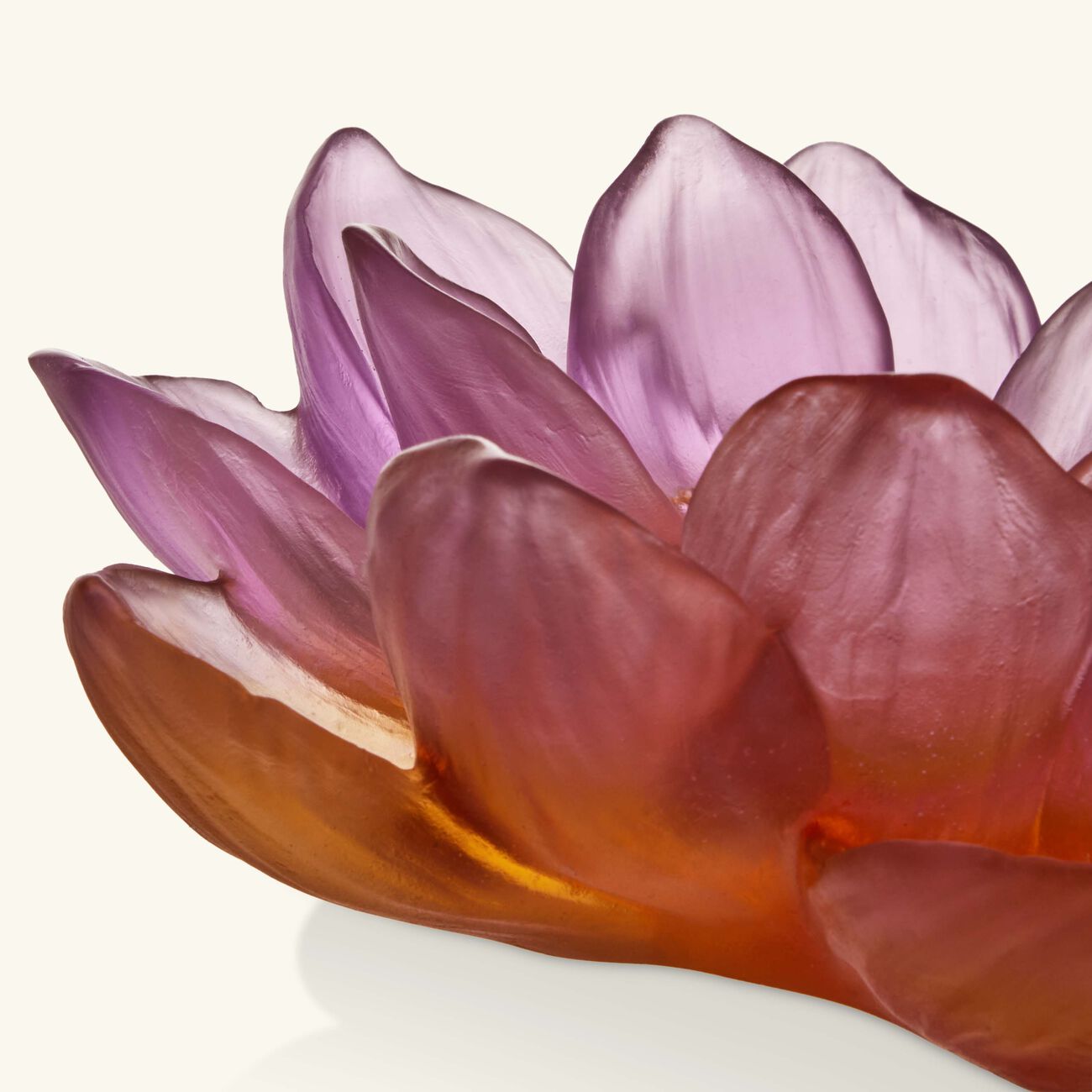 Jardin De Lotus Decorative Flower Pink daum jardin de lotus decorative flower pink