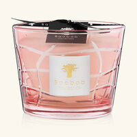 baobab collection waves malibu candle max 10
