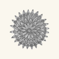 بوتشيلاتي وعاء على شكل شقائق النعمان فضي بحجم صغير