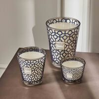 baobab collection gentlemen candle max 16
