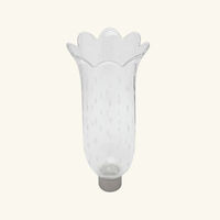 baccarat tulip hurricane shade rice grain