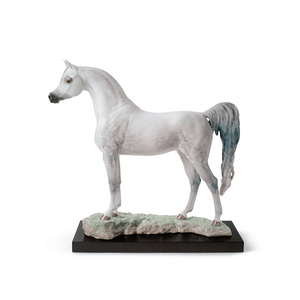 Arabian Pure Breed Figurine - Limited Edition, medium