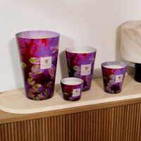 baobab collection water lily candles max 10