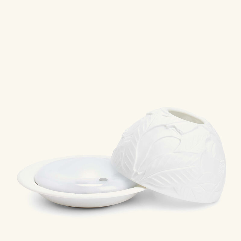 bernardaud magnolia blossoms led lithophanie