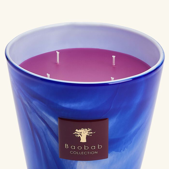 baobab collection atlas majorelle max 16 candle