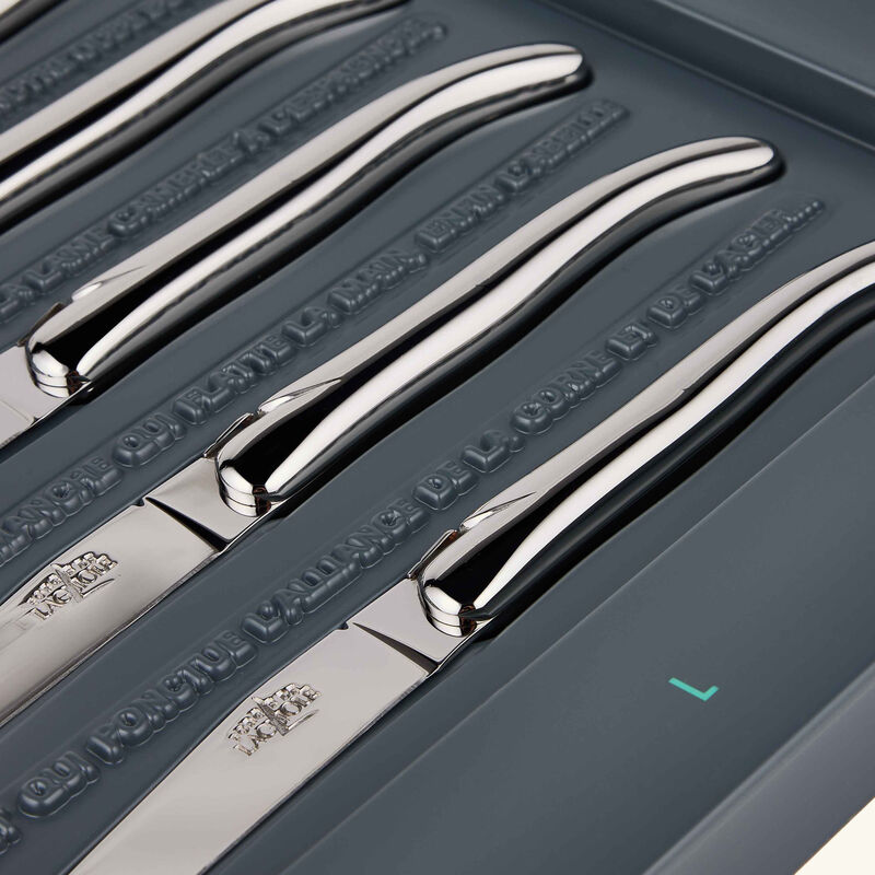 Philippe Starck Table Knife Silver Set of 6 forge de laguiole philippe starck table knife silver set of 6