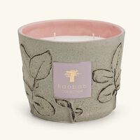 baobab collection folia maquis candle max 10