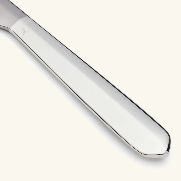 كريستوفل سكين إنفيني متعدد الاستخدامات متوسط باللون الفضي