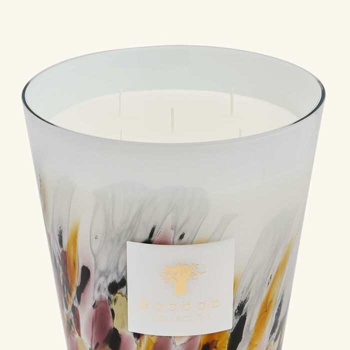 baobab collection rainforest tanjung candle max 24