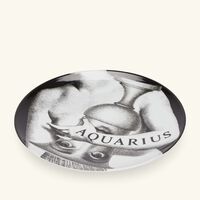 fornasetti tema e variazioni no 358 aquarius wall plate
