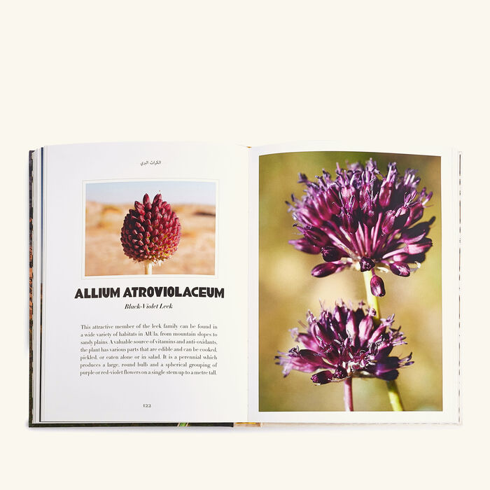 assouline alula flora book 33x25 4cm