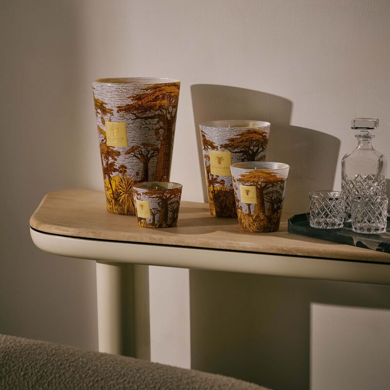 شمعة سيكرد تريز كوكودي ماكس 10 باوباب شمعة سيكرد تريز كوكودي ماكس 10