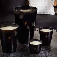 baobab collection encre de chine candle max 16