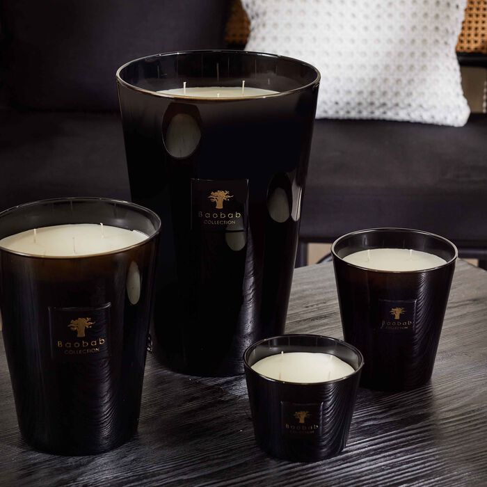 baobab collection encre de chine candle max 16