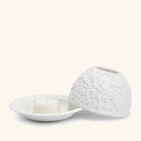 Wild Flowers Lithophanie bernardaud wild flowers lithophanie