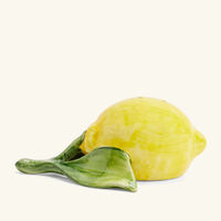 les ottomans lemon salt pepper shakers yellow