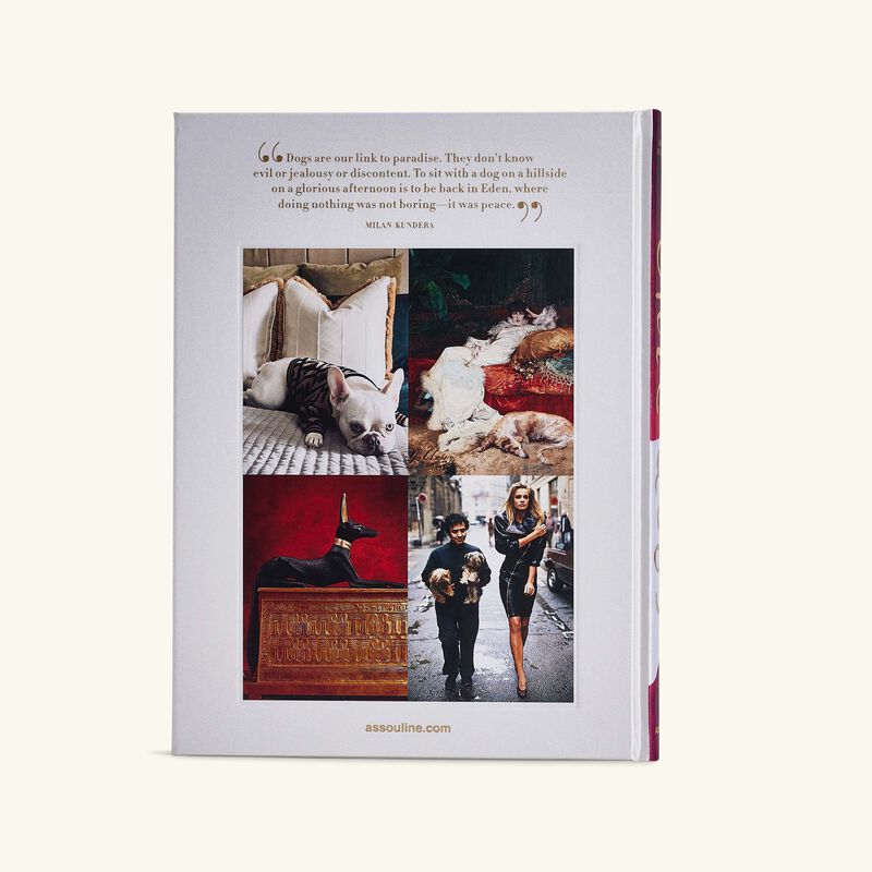 Chic Dogs Book 33x25cm assouline chic dogs book 33x25cm