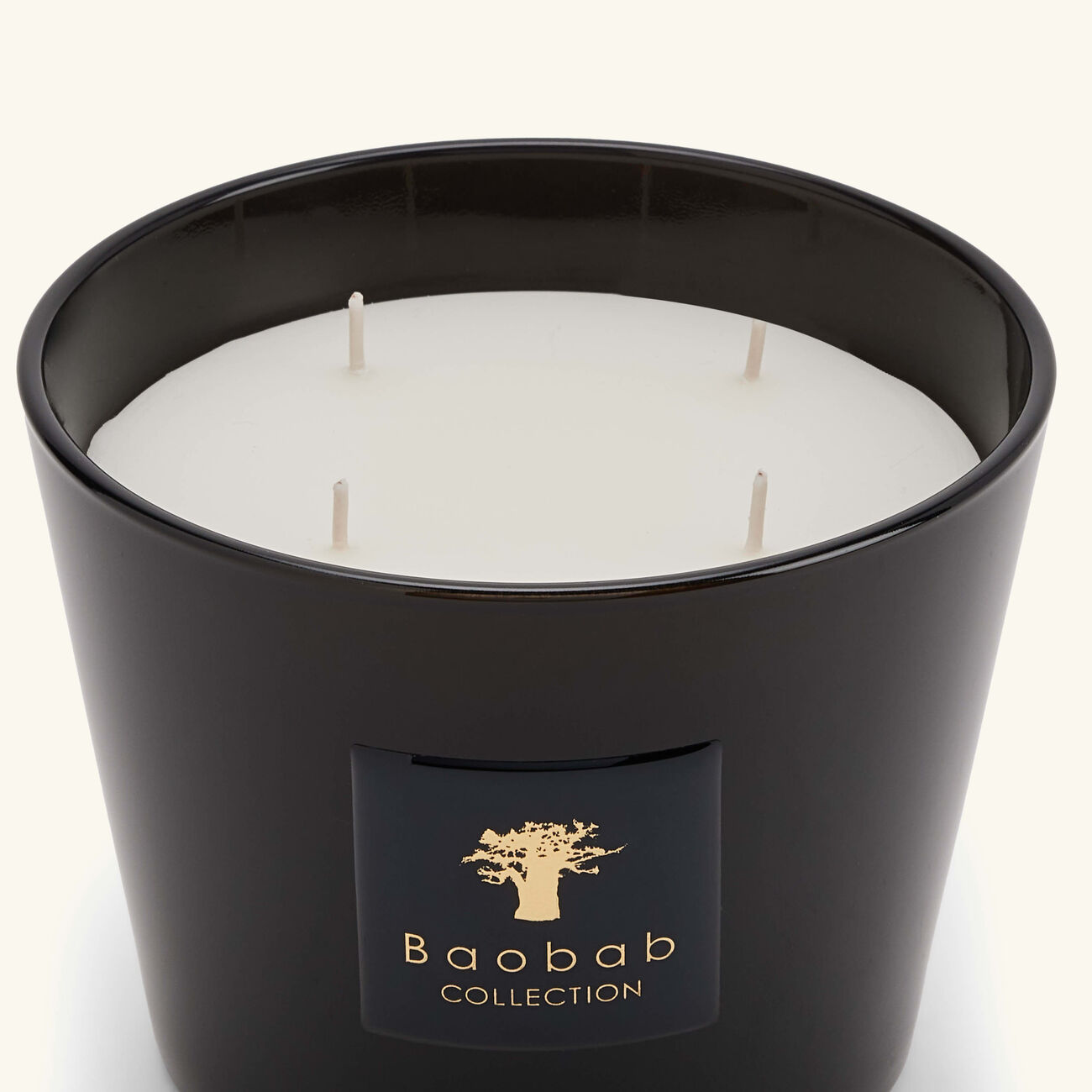 baobab collection encre de chine candle max 10
