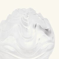 لاليك صندوق فايبريش شفاف