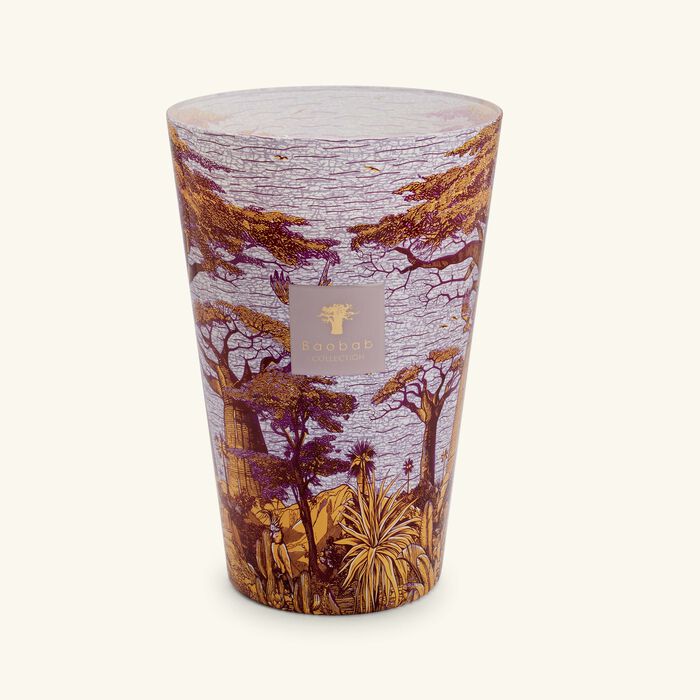 baobab collection sacred trees massasso candle max 35